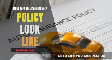 Understanding Auto Insurance: What's in Your Policy?