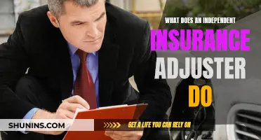 The Role of Independent Insurance Adjusters: Unraveling the Claims Process