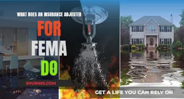 The Role of FEMA Insurance Adjusters: Navigating Disaster Claims and Recovery