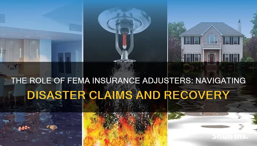 what does an insurance adjuster for fema do