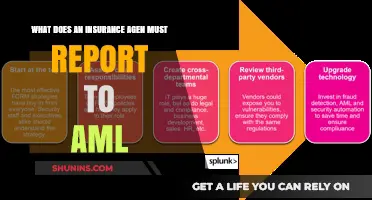 Insurance Agents: Reporting Requirements and AML Compliance