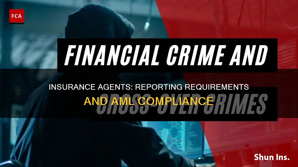 what does an insurance agen must report to aml