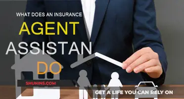 The Insurance Agent Assistant: A Vital Support Role