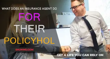How Insurance Agents Help Their Policyholders
