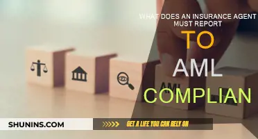 Insurance Agents: Report Suspicious Activity to AML Compliance