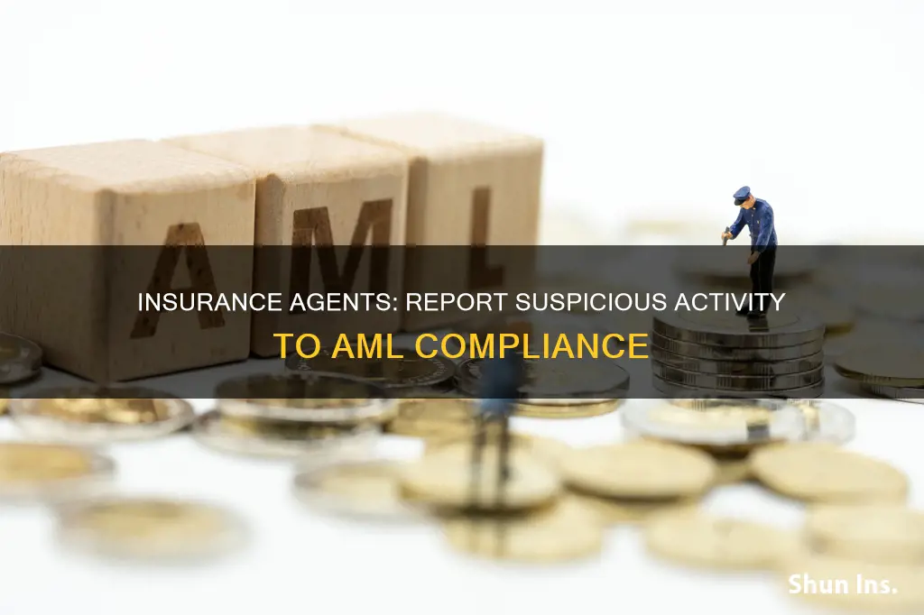 what does an insurance agent must report to aml compliance