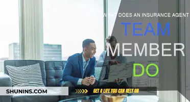 Insurance Agent Team Members: Supporting Customers and Agents