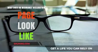 Understanding Your Insurance Declaration Page: A Visual Guide to Key Details