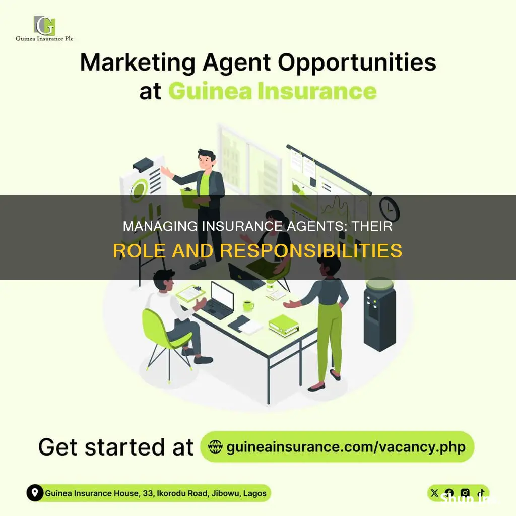 what does an insurance managing agent do