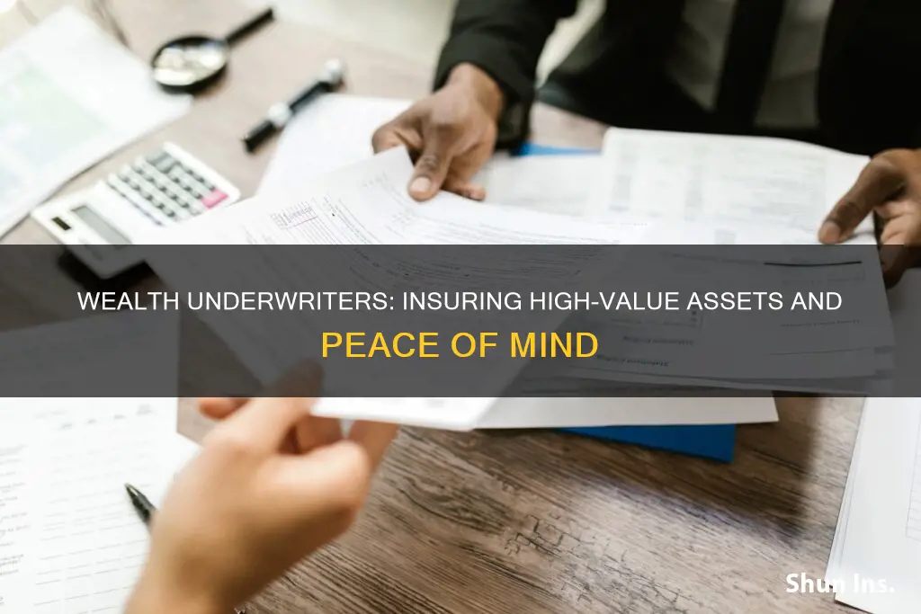 what does an insurance private wealth underwriter do