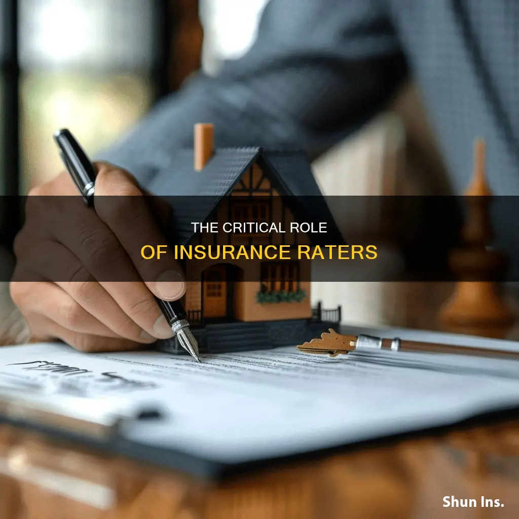 what does an insurance rater do