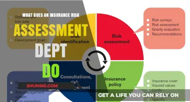 How Insurance Risk Assessment Teams Protect Customers