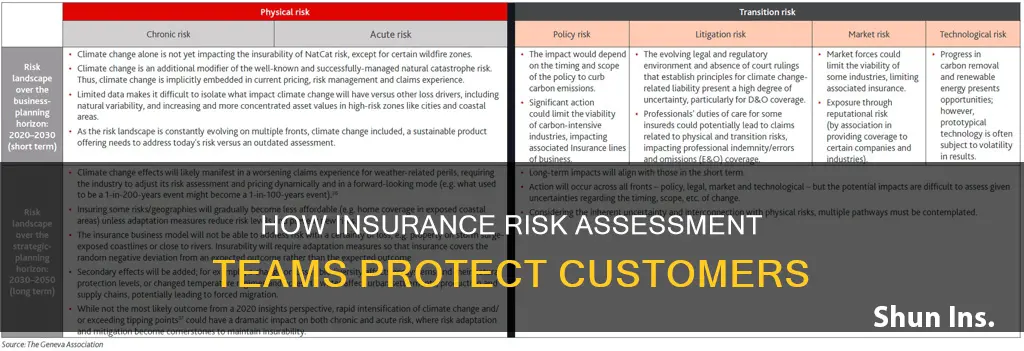 what does an insurance risk assessment dept do