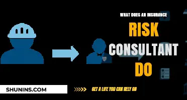 Insurance Risk Consultants: Protecting Your Business Interests