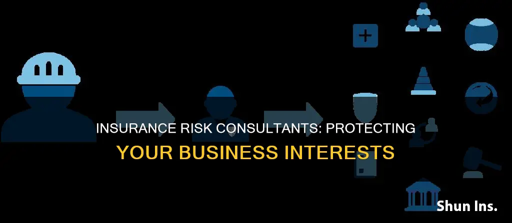 what does an insurance risk consultant do