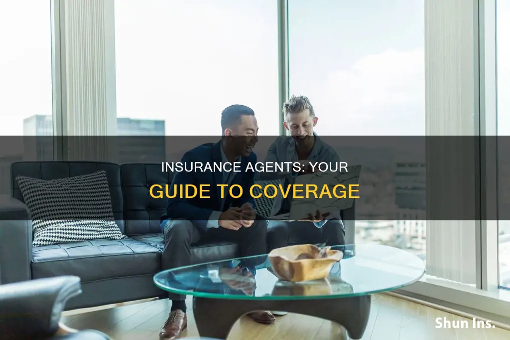 what does and insurance agent do