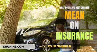 Auto Body Collision Insurance: What Does it Cover?