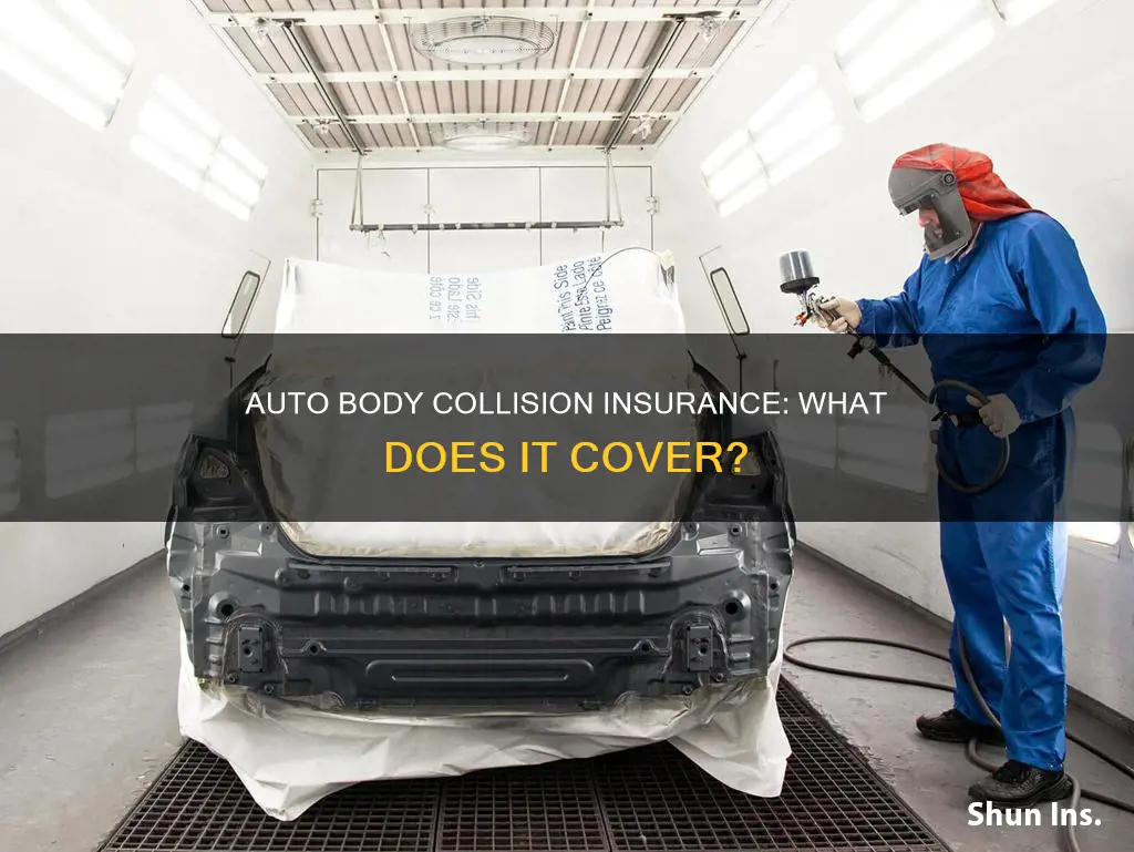 what does auto body collison mean on insurance