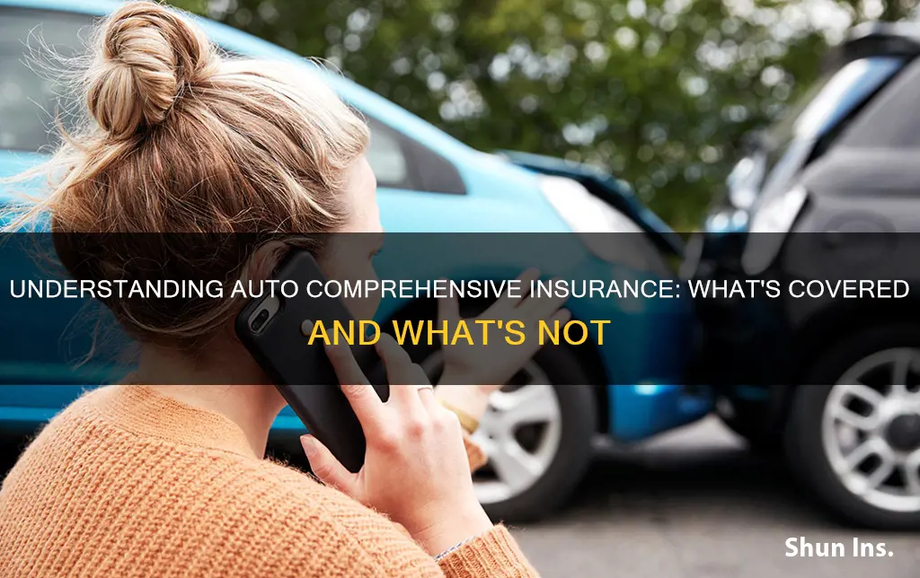 what does auto comprehensive insurance mean