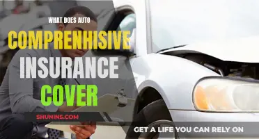 Auto Insurance Coverage: What's Included in Comprehensive Policies?