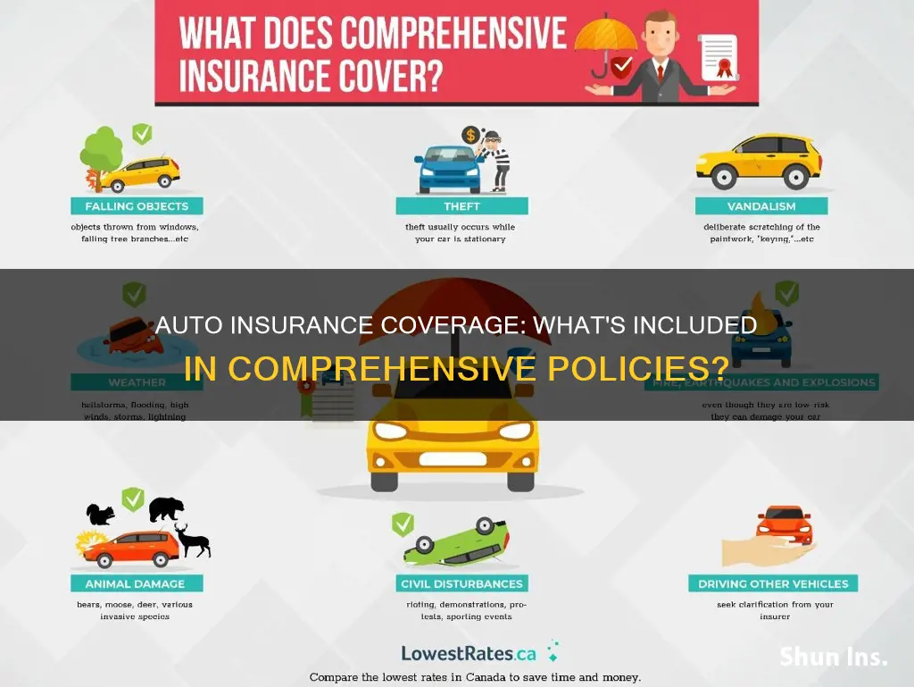 what does auto comprenhisive insurance cover