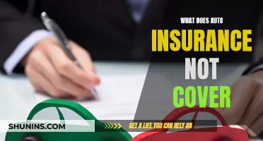 Auto Insurance: What's Not Covered?