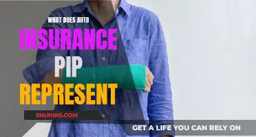 Understanding Auto Insurance: What is PIP?