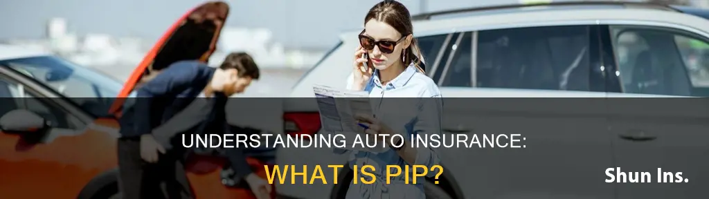 what does auto insurance pip represent