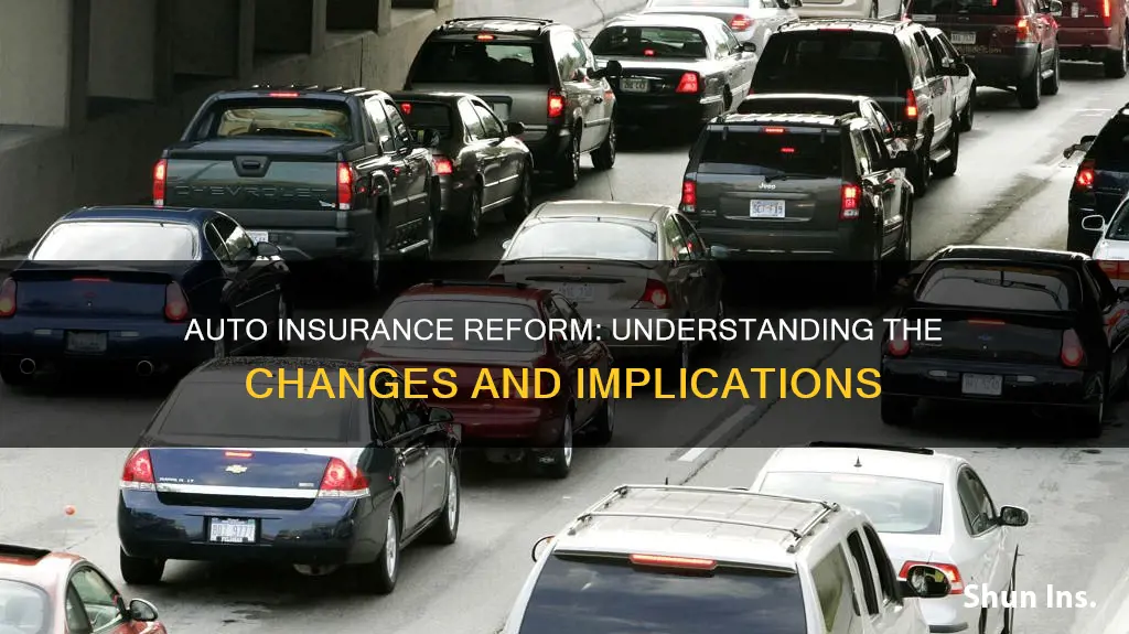 what does auto insurance reform mean