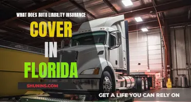 Auto Liability Insurance: Florida's Coverage Basics Explained