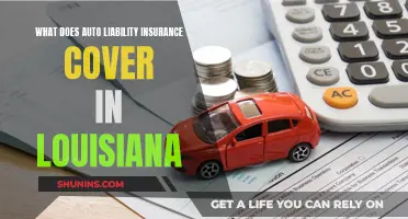 Auto Liability Insurance Coverage in Louisiana: What's Included?