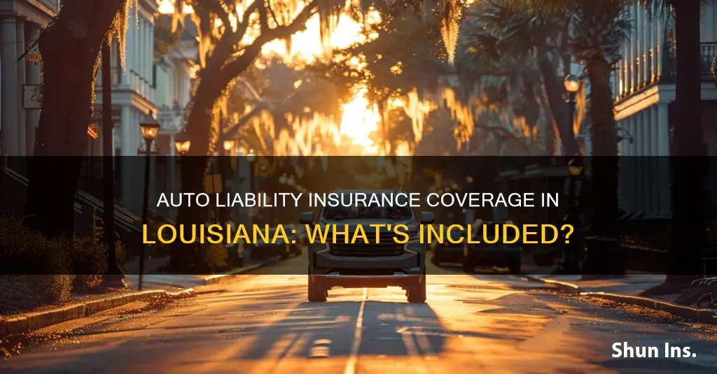 what does auto liability insurance cover in louisiana