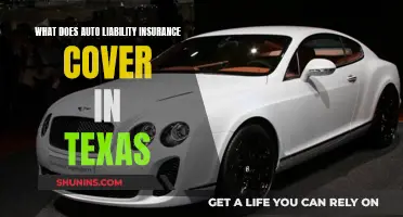 Auto Liability Insurance Coverage Explained for Texans