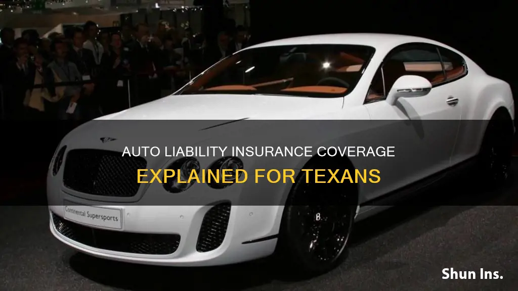 what does auto liability insurance cover in Texas