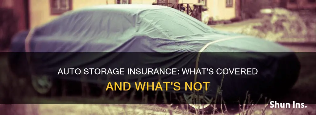 what does auto storage insurance cover