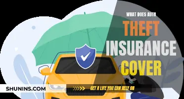 Auto Theft Insurance: What's Covered and What's Not