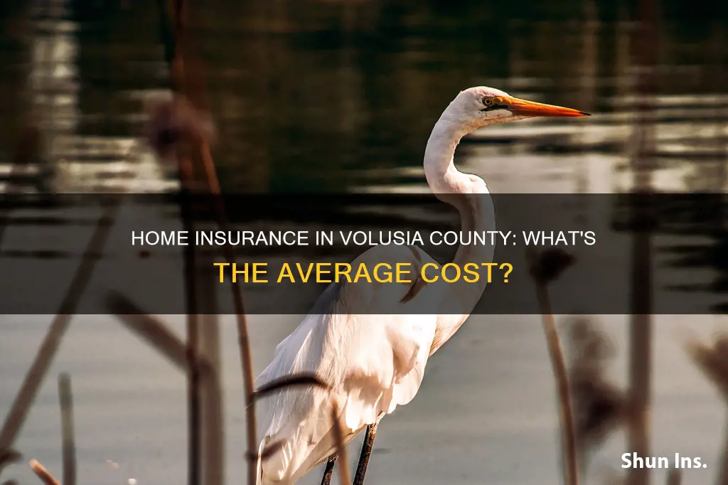 what does average homeowners insurance cosr in volusia county