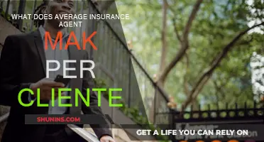 How Much Do Insurance Agents Make per Client?