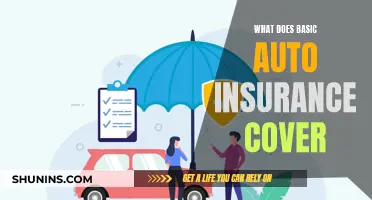 Auto Insurance Basics: What's Covered?