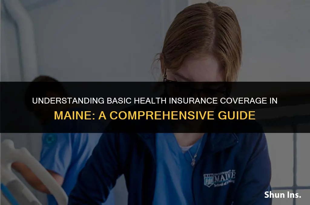 what does basic health insurance cover maine