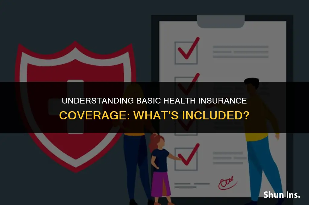 what does basic health insurance cover