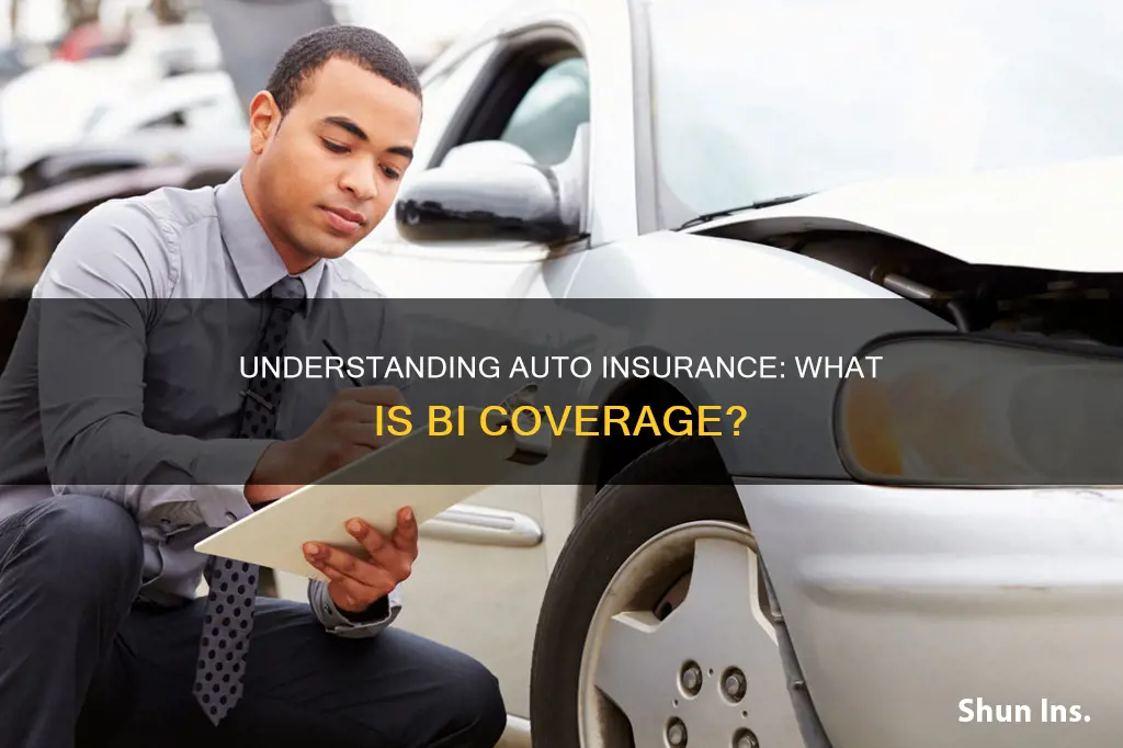 what does bi coverage mean in auto insurance