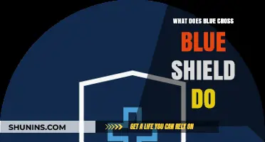 Blue Cross Blue Shield: Healthcare Coverage and Benefits