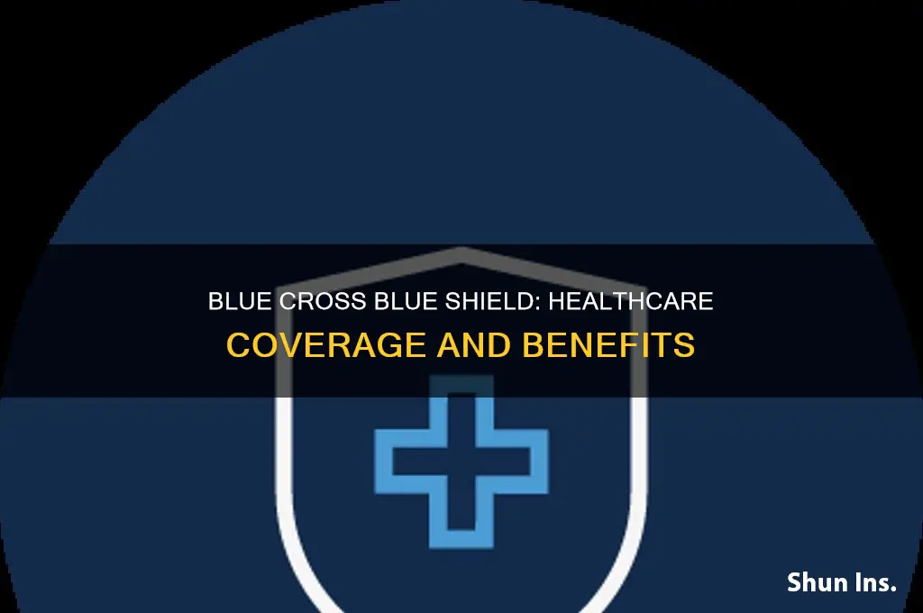 what does blue cross blue shield do