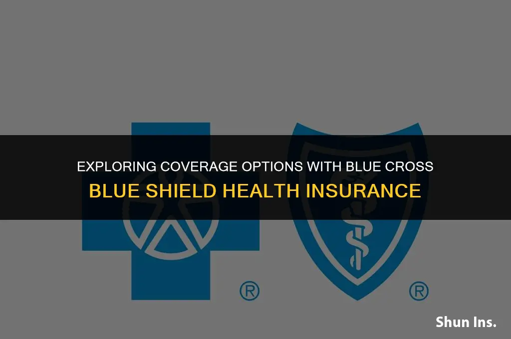 what does blue cross blue shield health insurance cover
