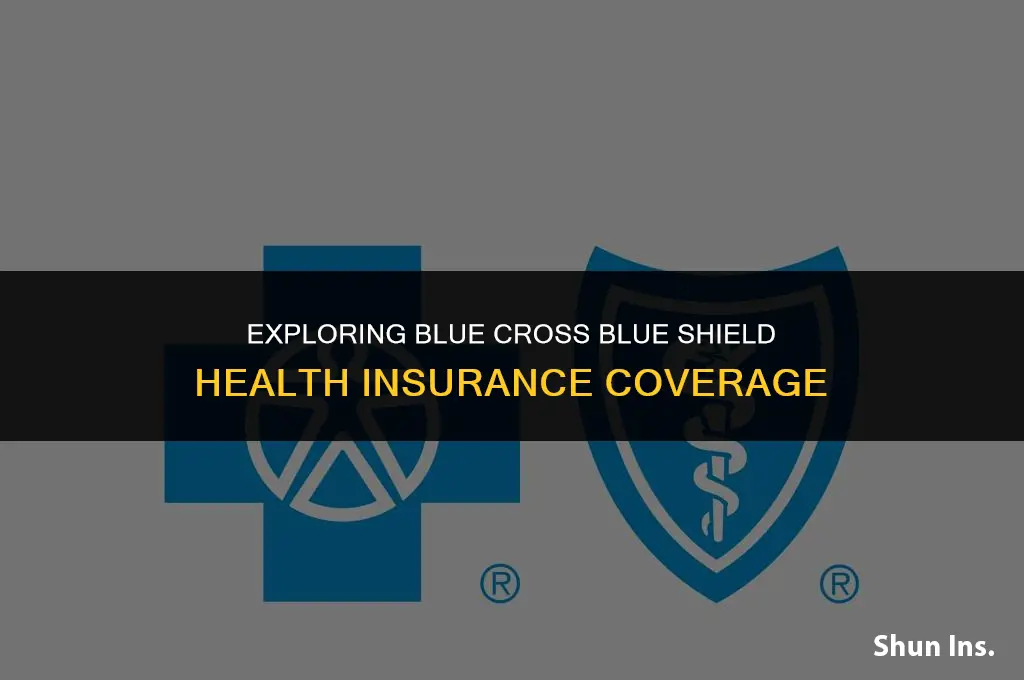 what does bluecross blueshield health insurance cover