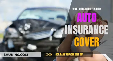 Understanding Auto Insurance: Bodily Injury Coverage Explained