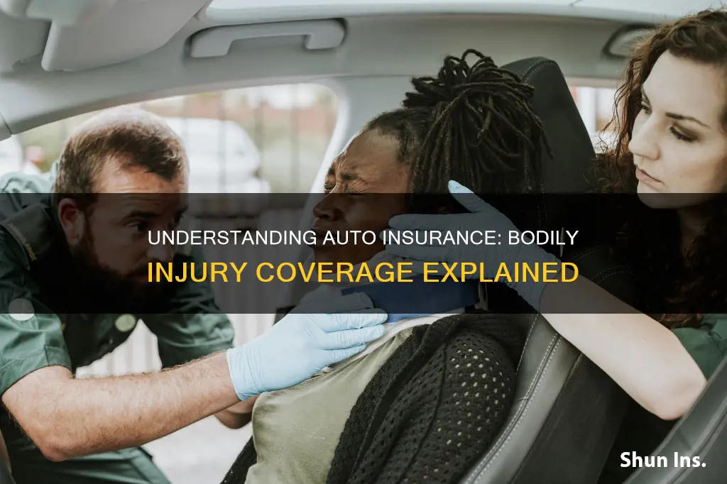 what does bodily injury auto insurance cover