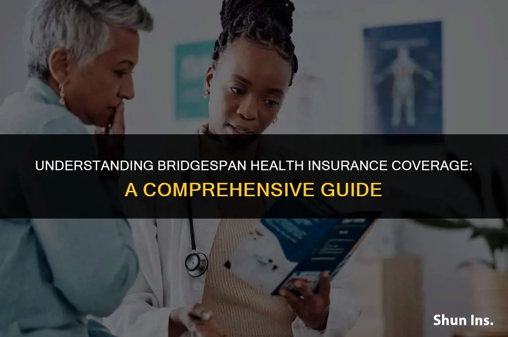 what does bridgespan health insurance cover