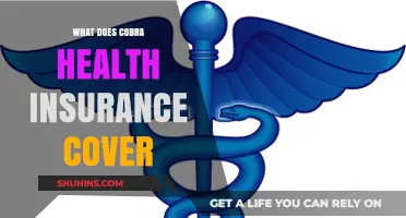 Exploring the Comprehensive Coverage of Cobra Health Insurance